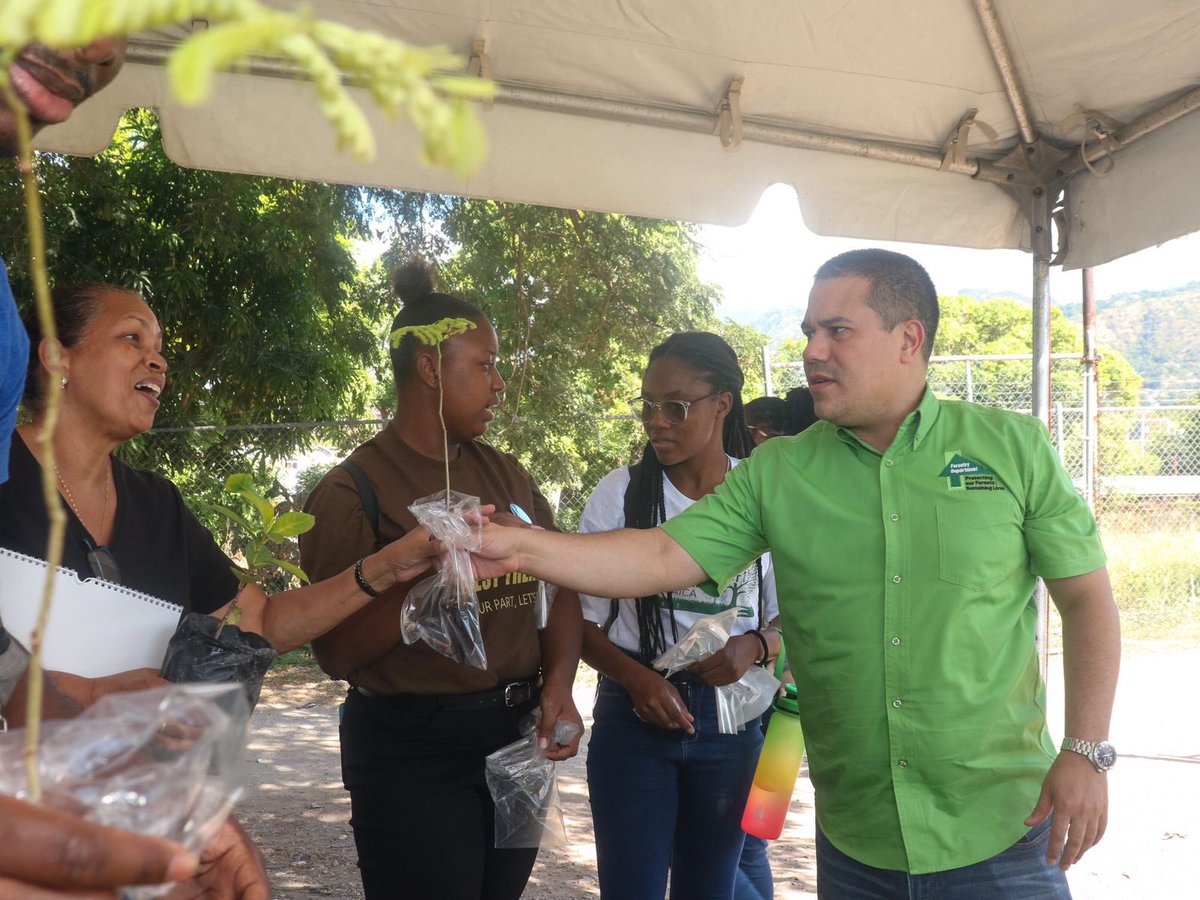 matthewsamuda's tweet photo. The initiative saw distribution of over 3000 seedlings to citizens. We mixed ornamentals with fruit trees including Poui, Poor Man’s Orchid, June Plum, Sour Sop etc
Pt2.
@ForestryDeptJa @megjc_jm
#NetGainInTreeCover #NTPI
#Ornamentals #FruitTrees #UrbanForests https://t.co/wFTil1dlcm