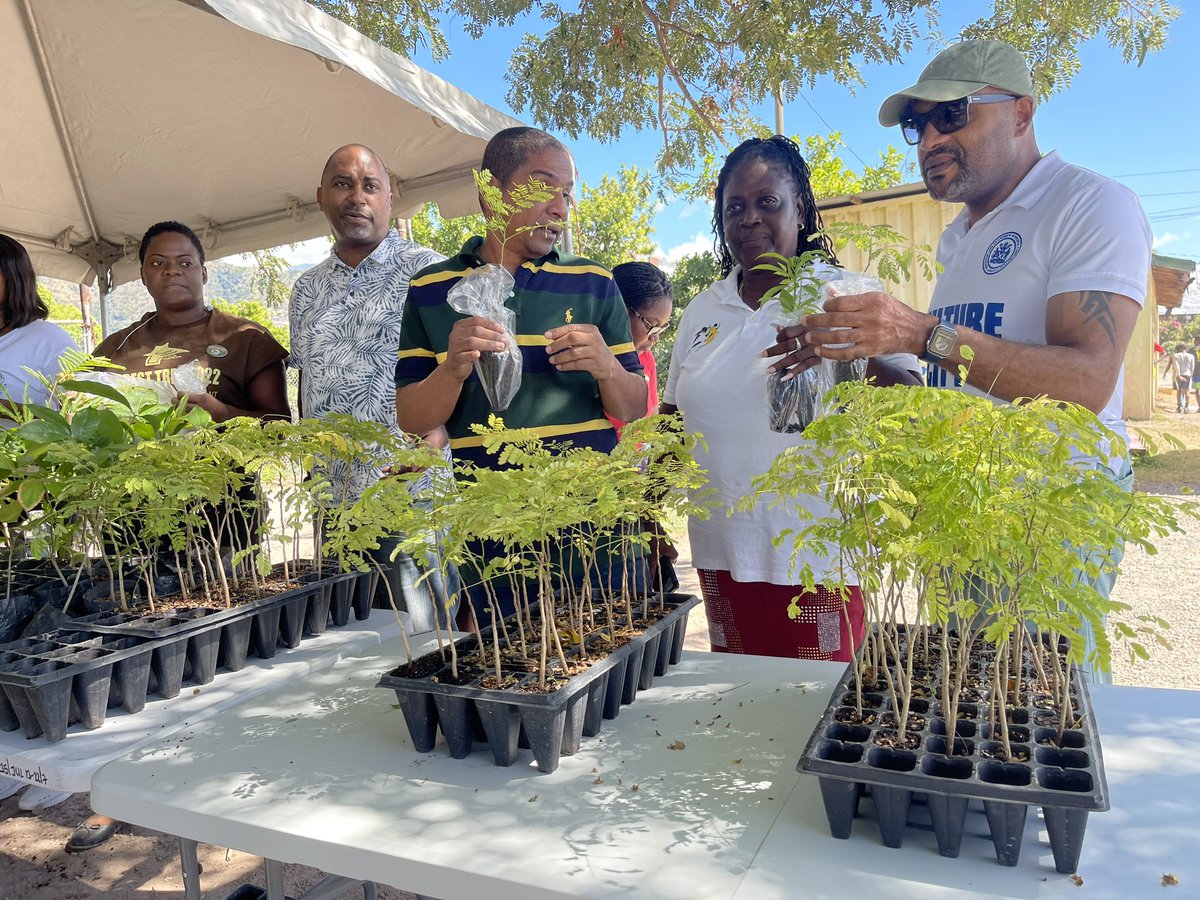 matthewsamuda's tweet photo. Thanks for colleagues who came out to support including Min @kaminajsmith, MP Julian Robinson, @MayorWilliamsJA, Councilors Joy Cottrell and @veneshatweets.
Pt5.
More to come, More to plant!
#NetGainInTreeCover #NTPI
#Ornamentals #FruitTrees https://t.co/SvsN8D8KXQ
