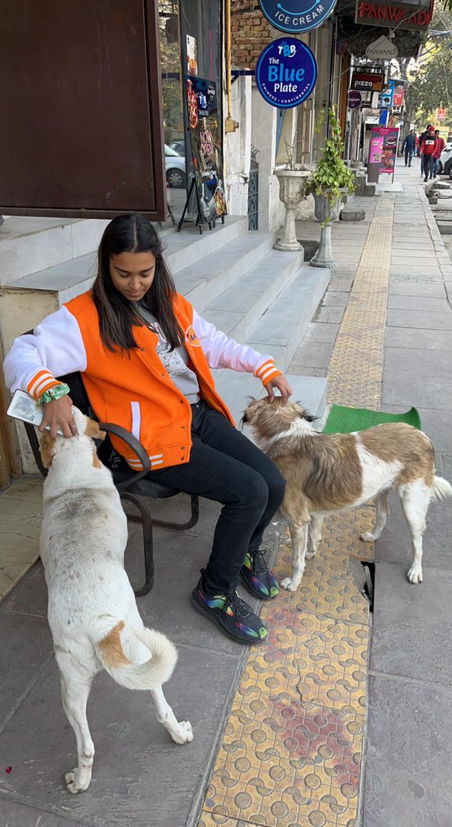 aalsikhaleesi's tweet photo. Angels ❤ 
Often people call me crazy for getting too excited whenever I see a dog around well, how could you not love these angels? Call me crazy, weird or whatever I'm okay as long as they're around me. https://t.co/bLm6GGsvBo