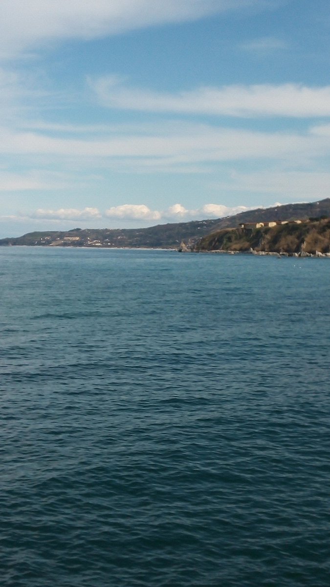 Maria Macrì tweet media