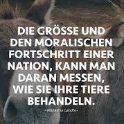 @bmel @cem_oezdemir Nein, Ihre Adelung bekommen Sie nicht durch eine schöne Messewoche, Ihre Adelung bekommen Sie wenn Sie Tierschutz und Tierwohl deutlich erkennbar besser umgesetzt haben.