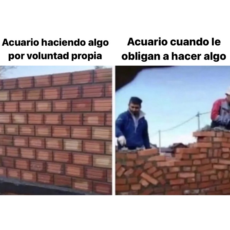 🤣🤣🤣 #acuario #horoscoponegro