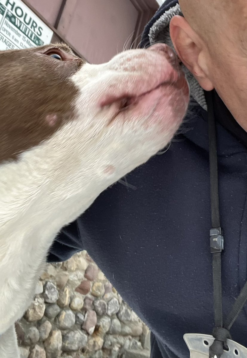 Sharing a secret about the dog in the kennel next to him. #shelterLife ❤️