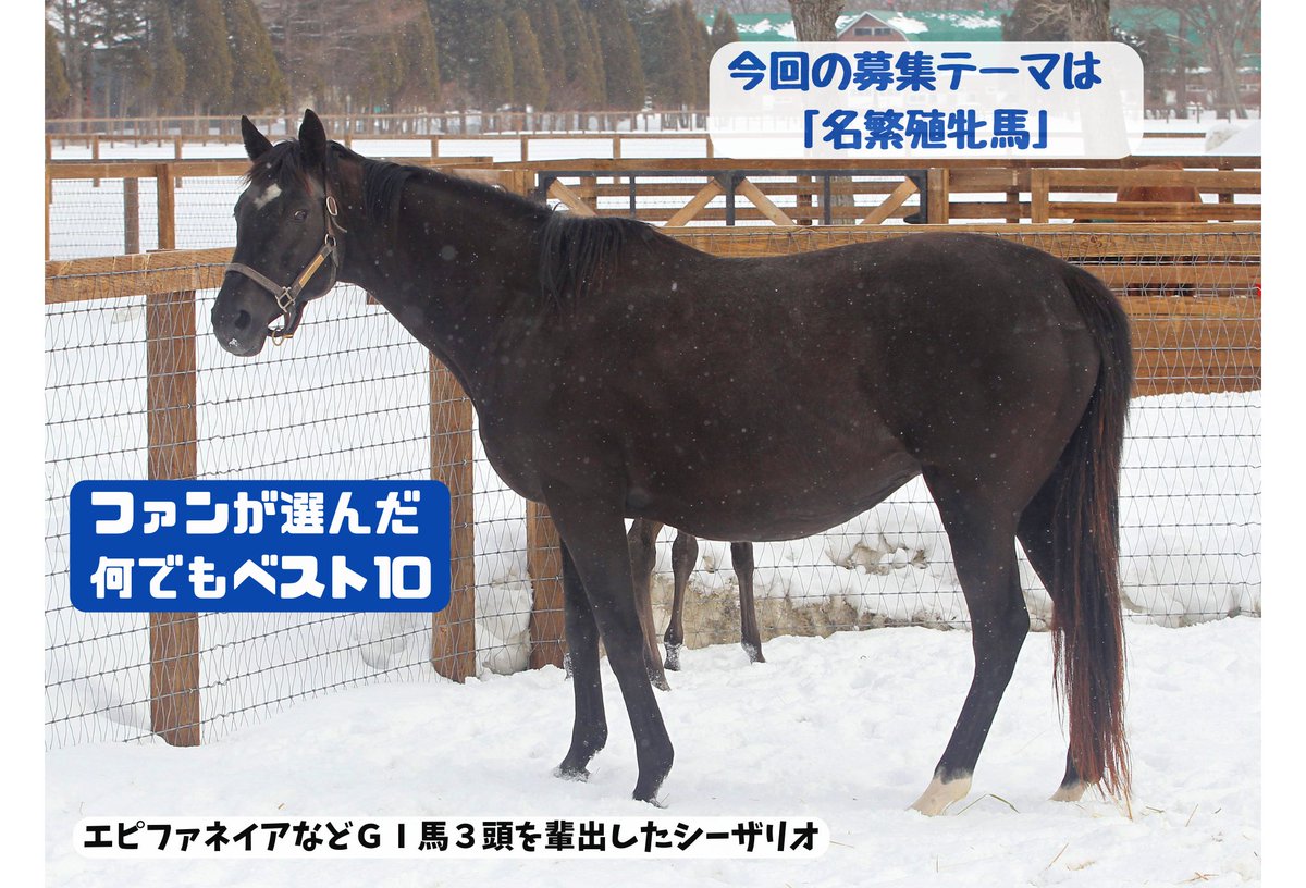 素敵🐴💗
今は圧倒的にウィンド母さん🍀

いつか、大好きなデンコウアンジュ🐴💗て言えるようになりたい✨ 