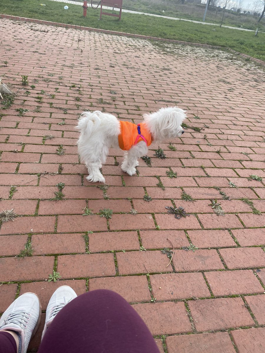 anama yaklaşmayun gödünüsü kıdlarm