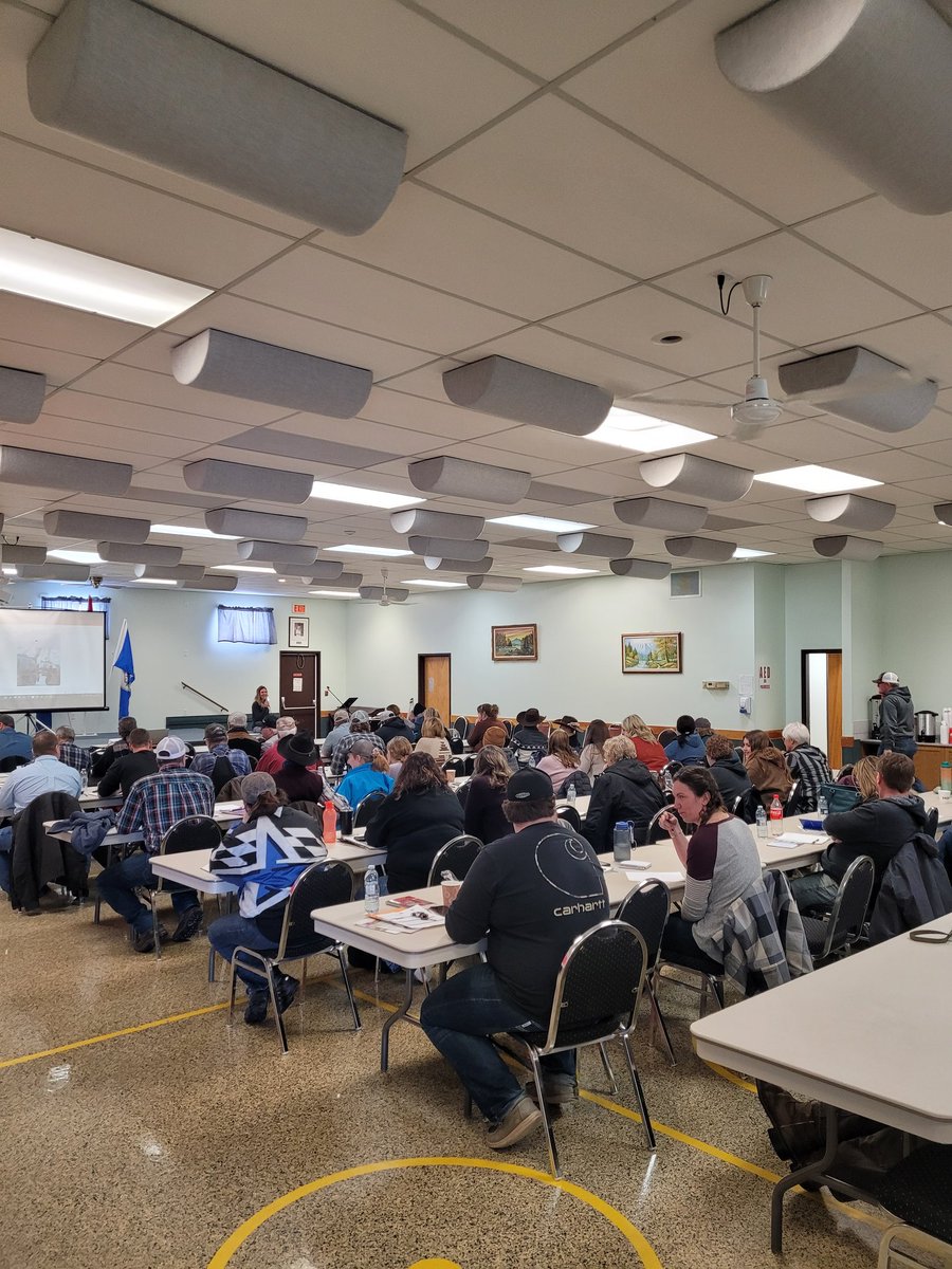 DrBart_Beef's tweet photo. Full house at #HerdManagement Meeting in Wainwright AB #VaccinePrograms #NutritionMgmt #ForageSystems https://t.co/yC6w8L8jHM