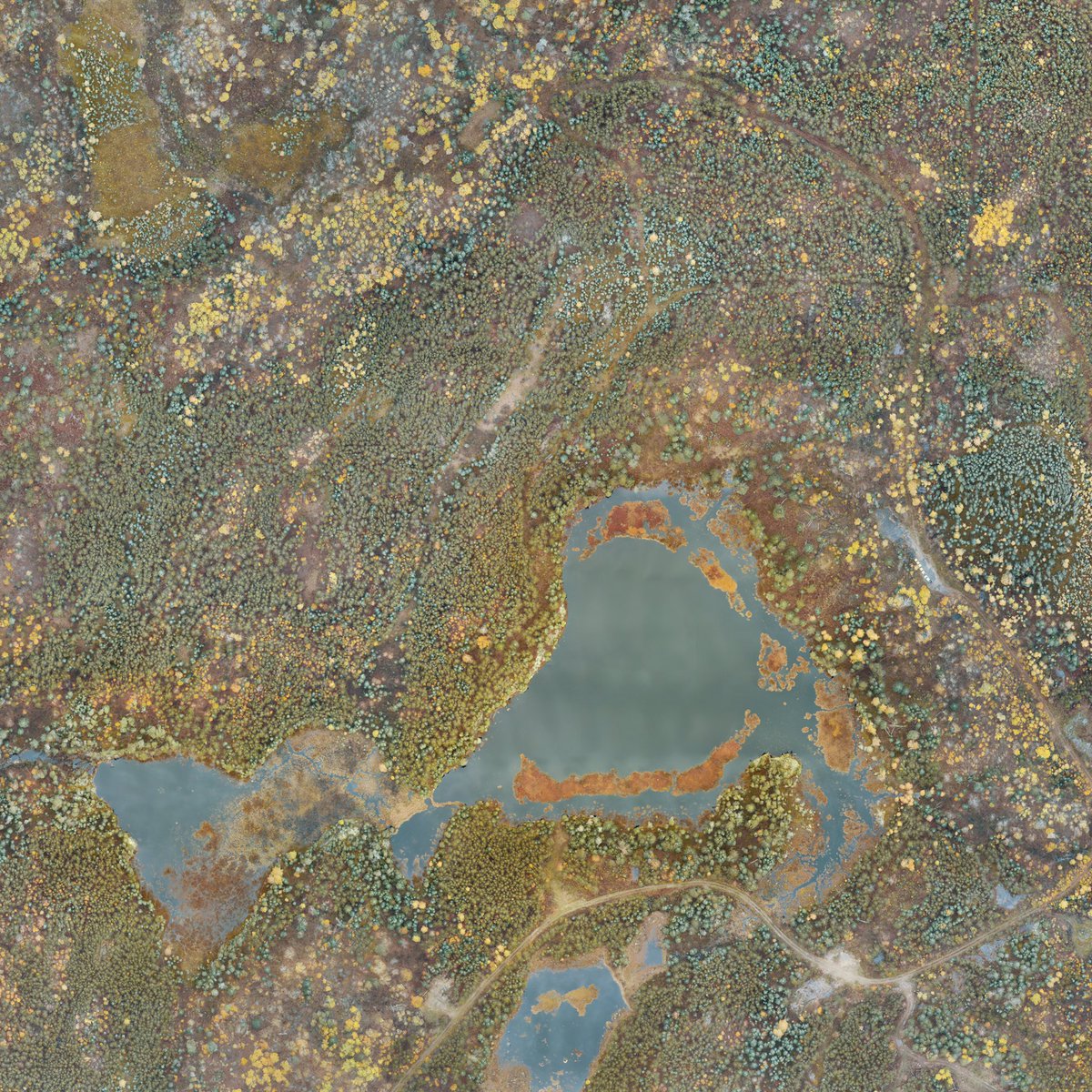 ILCTSX's tweet photo. Beautiful aerial photo of the core of our Raleigh Lake property near Ignace, Ontario where we have been doing drilling. Maiden Resource Estimate expected by beginning of March. https://t.co/uSuWh911h0