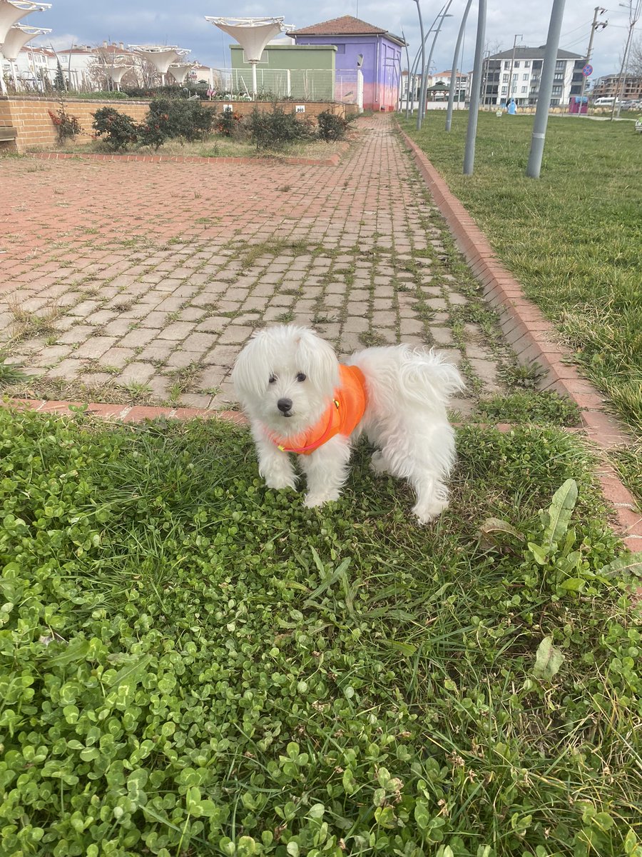 aşkım gel geselim <a href="/eby2022/">Eby</a>