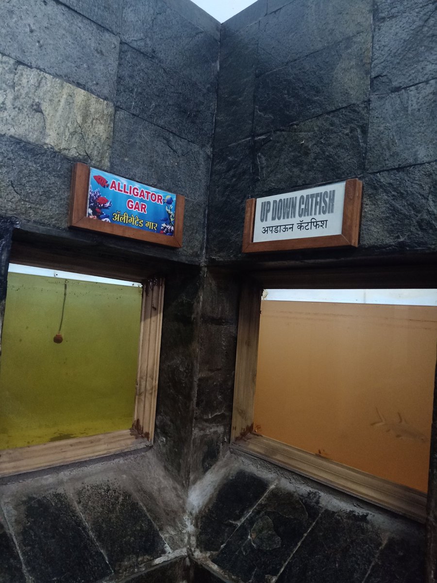 vinit69's tweet photo. Chatrapati Sambhaji Maharaj Udyana madhil Aquarium chi Kai awastha jhali ahe. Maase kase Kai rahanar ? @mohol_murlidhar @PMCPune  thoda lakshya dya. https://t.co/xSYk2zbA40