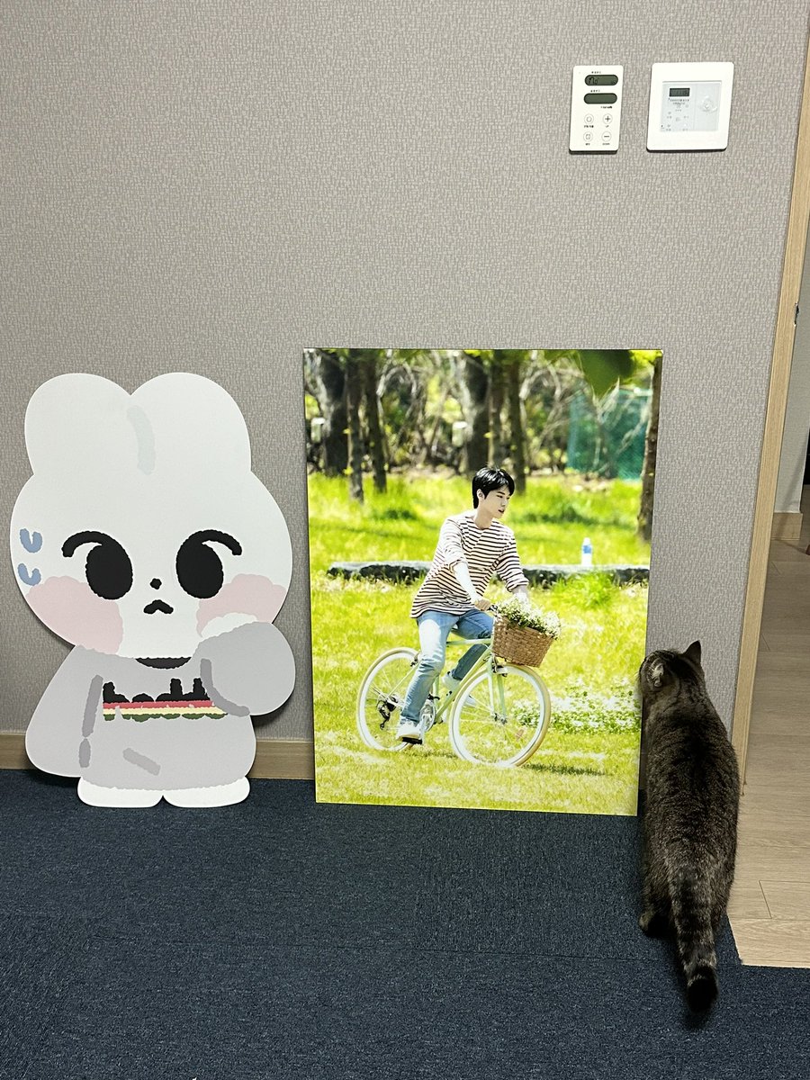 저희집 고양이도 좋아하는 샷엄마의 전시회 사진