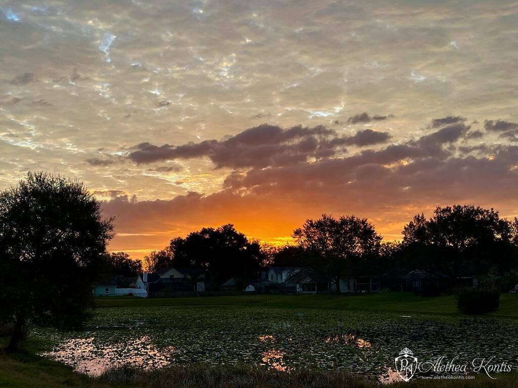 AletheaKontis's tweet photo. Hello, dawn. ☀️
.
#stormchaser #stormwitch
#sunrise #lookup #skyhunter #sunrise #florida #backyardgarden #flwx #weather #nature #naturephotography #landscapephotography #mothernature #earth #natgeoyourshot #forceofnature #yourshotphotographer #cloudp… https://t.co/xyCxxHEgYU https://t.co/ybiOcyHUDA