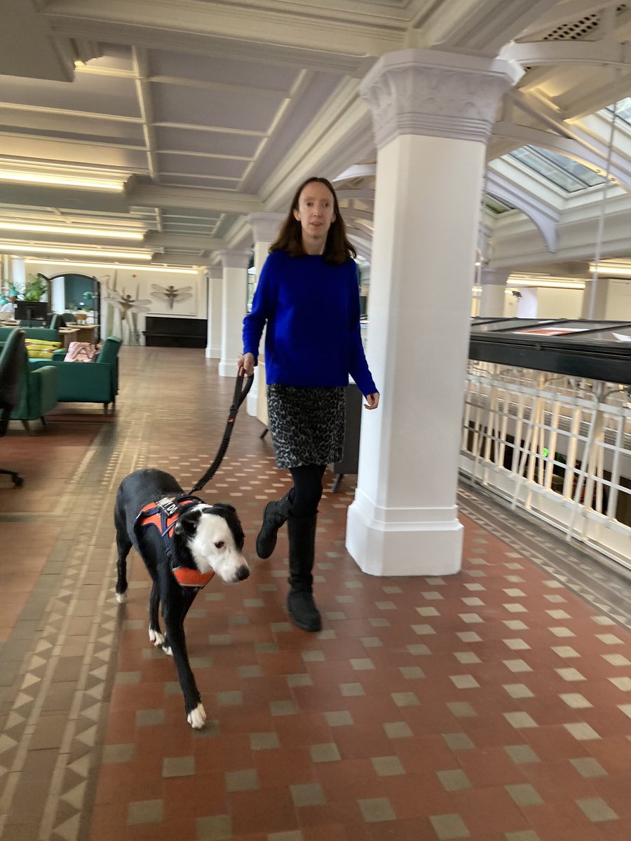 KarenBrackenri3's tweet photo. Work Skills and Social Engagement activities! @McrMuseum #TakingTheLead and assisting #MeetMurray with his Therapy Dog  Training Uk Certification…Murray to Mat and Stay! https://t.co/yOvym5Hnlv