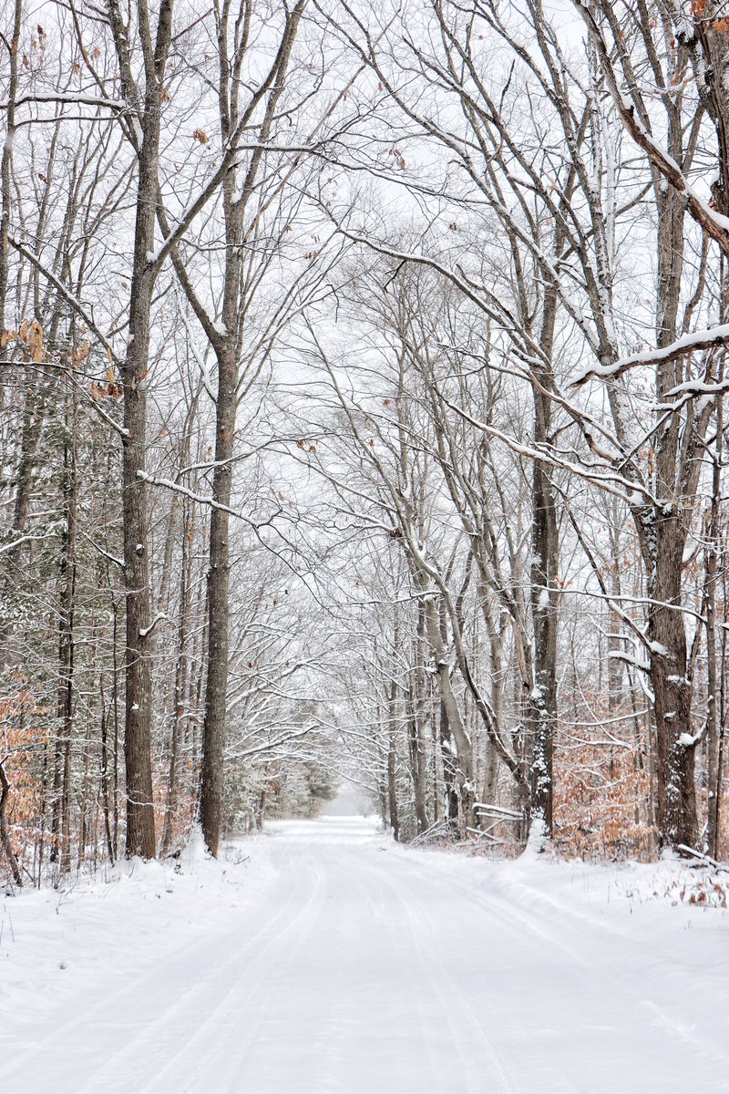 karenfarrell77's tweet image. Winter is back in Michigan!
Happy Sunday everyone! 
#puremichigan #upnorthlive #awesomemitten @PureMichigan #winterinmichigan #snowfall #NaturePhotography @upnorthlive