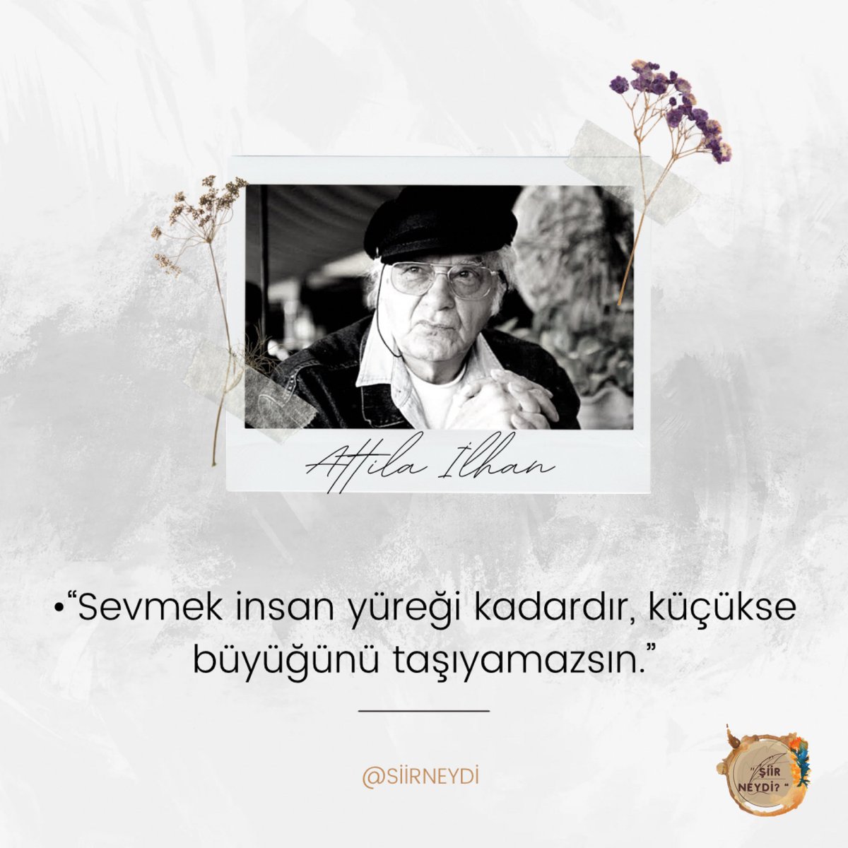siirneydi's tweet photo. https://t.co/K3kxdgpFn4