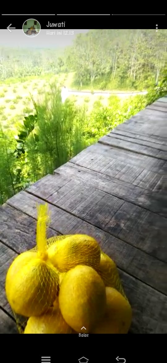 faizahkst's tweet photo. Percayalah cowo yang bilang temenmu cantik itu berarti dia ngga suka sama kamu boneng jadi jgn ngarep..... tpii boong ngga ngarep dari mana ora doi sllau wa gue,, :(( https://t.co/Ay1gt1CVOr