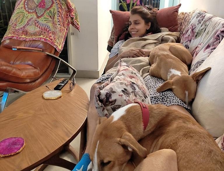 TheMooknayakEng's tweet photo. The Pariah Preservationist: A woman's journey to save India's native dog breed
Report- @GitaSunilPillai
Read full report on @TheMooknayakEng
Story Link- https://t.co/b1mg5ZlROq
https://t.co/KwF9XLCeSv https://t.co/CY1mDfSBve