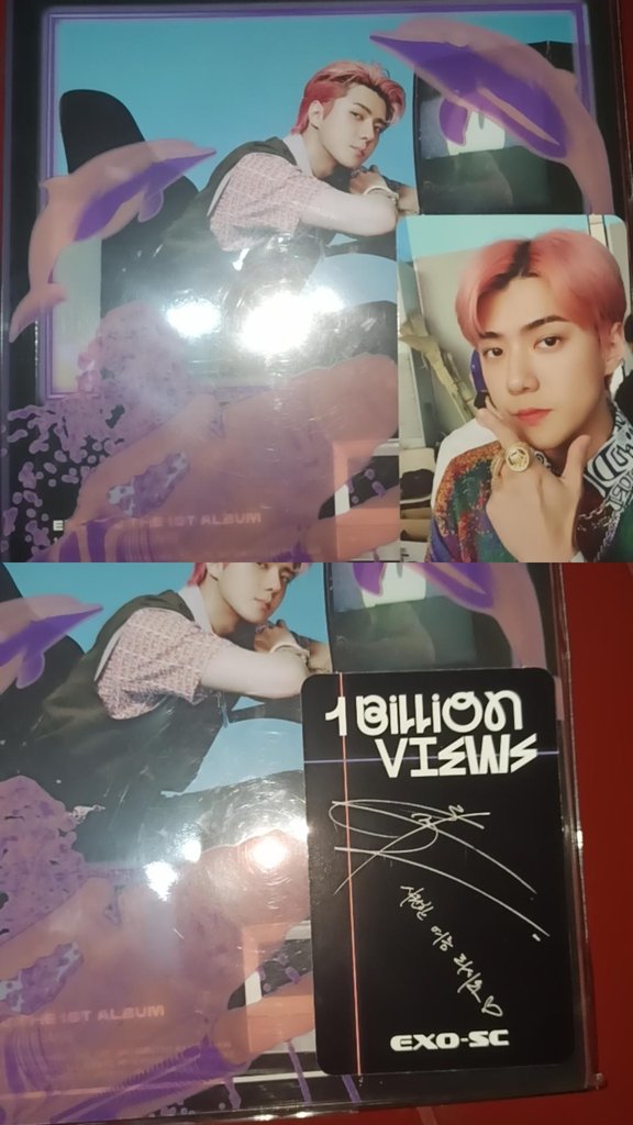 LMF 🚀 tweet media