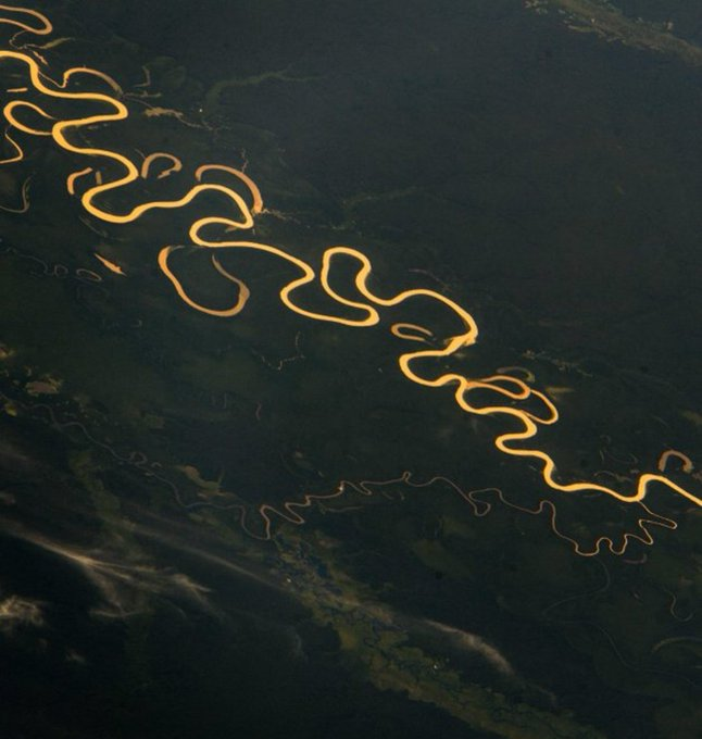 Space_Hub tweet media