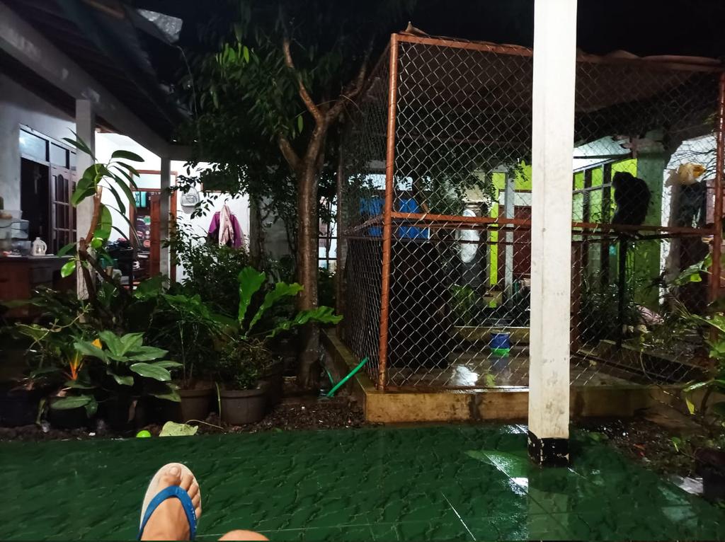 Klo besok senin, trus knpa?