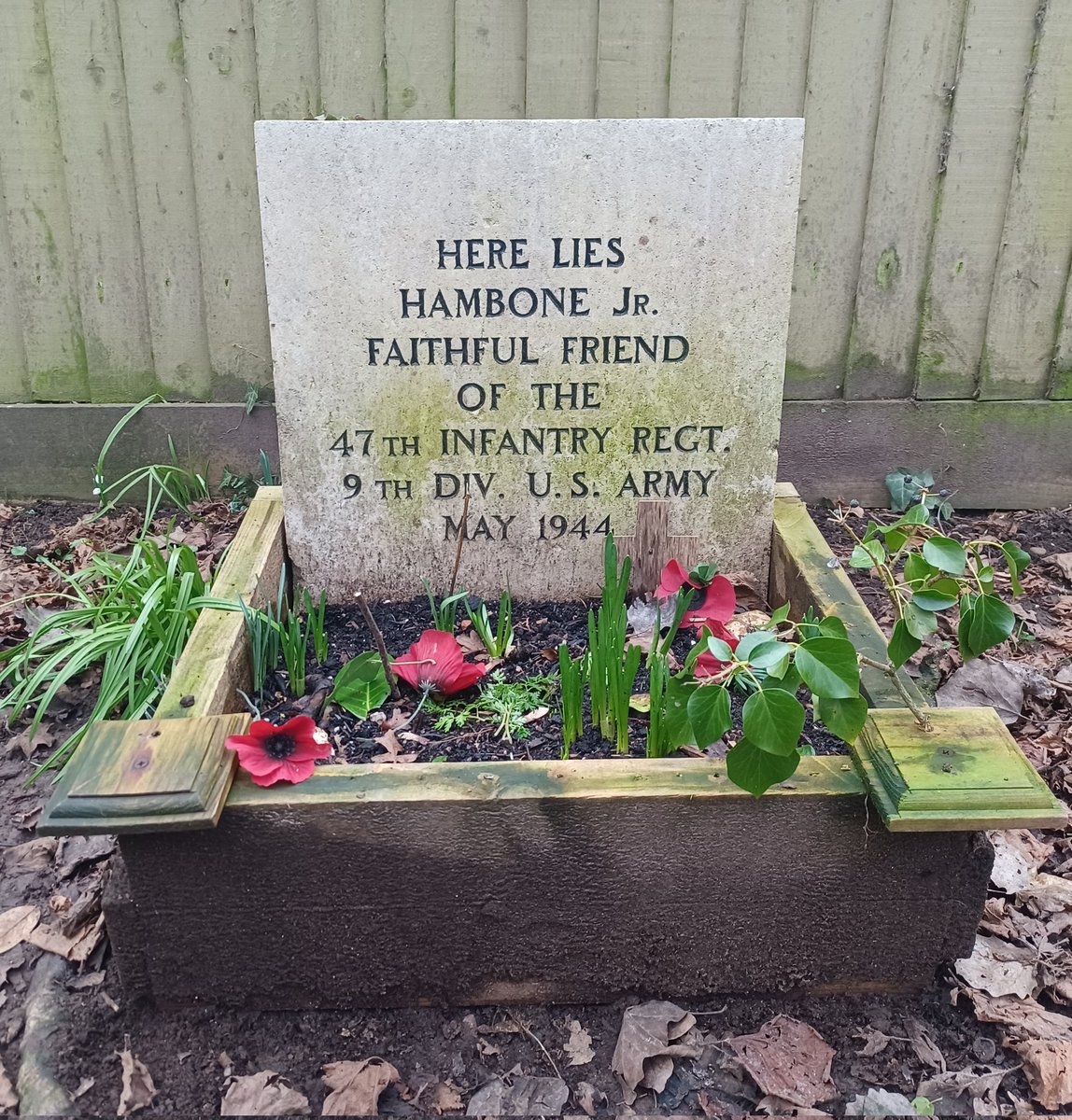 StartLicensing's tweet photo. Charming little memorial to #HamboneJnr #FaithfulFriend of @USArmy @USArmyEURAF #47thInfantry #9thDivision 
Legacy from #USArmy presence in #Alresford #Hampshire during #WorldWar2 
Nice that Hambone was remembered. 
#militarypets #armydogs 
#watercressway https://t.co/rciqCUWT0u