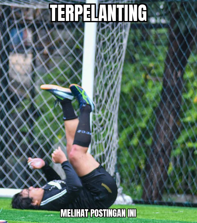 (안도 황) tweet media