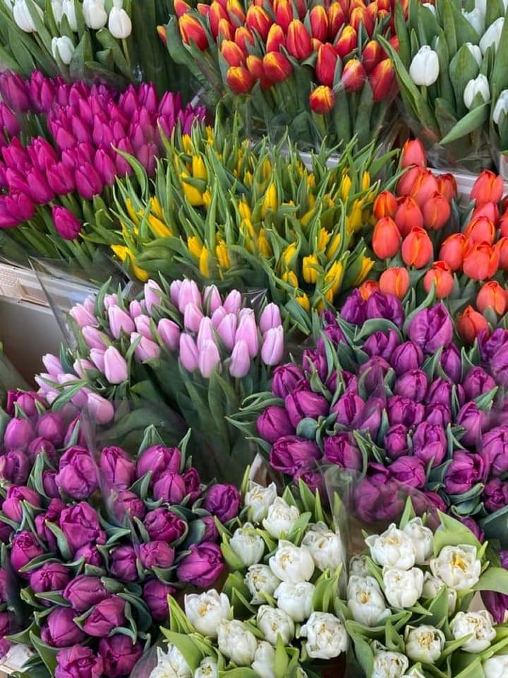 🌸𝑳𝒐𝒗𝒆 & 𝑺𝒎𝒊𝒍𝒆𝒔💕 tweet media