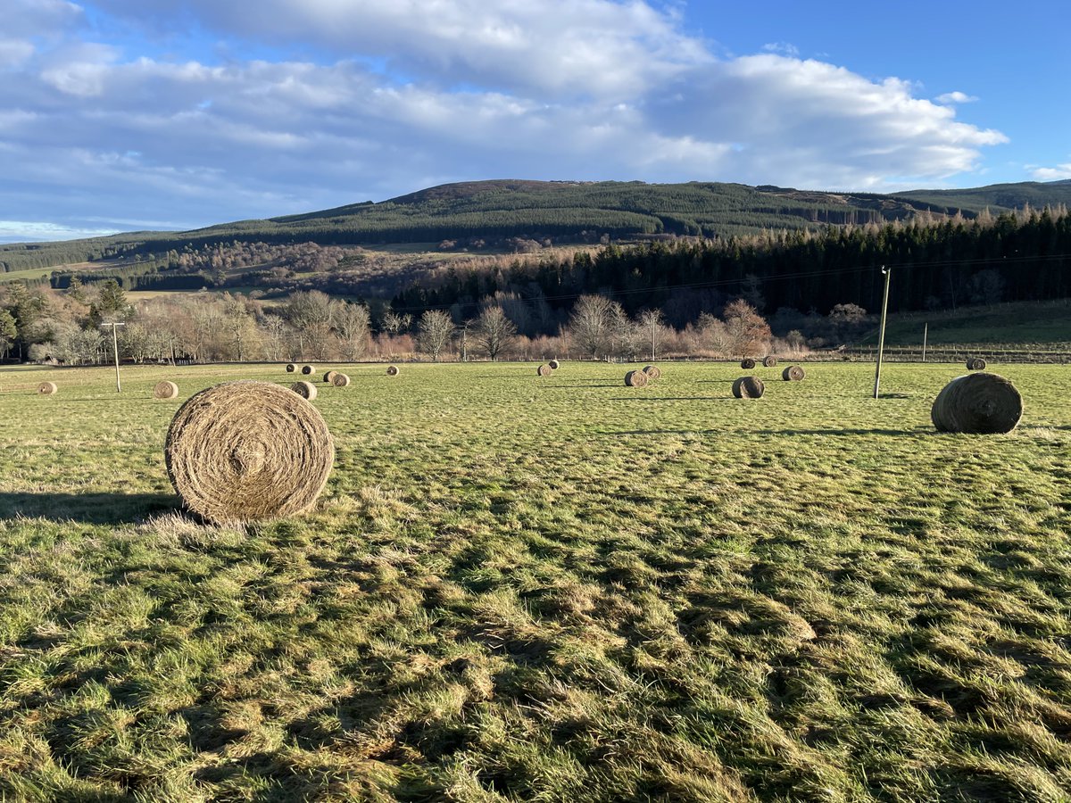 Howemill tweet media