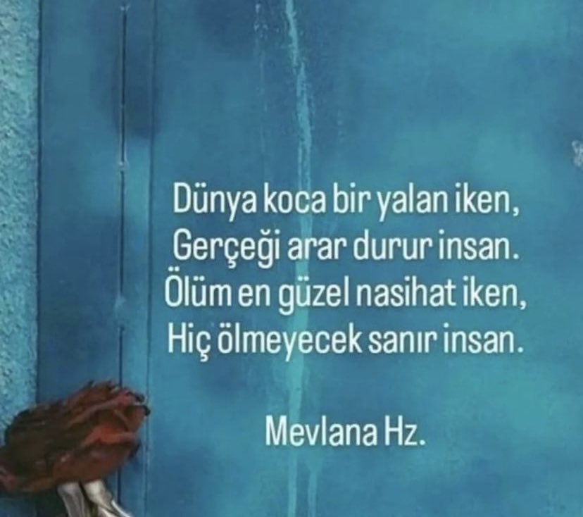 Eker koçak (@eker_kocak) on Twitter photo 