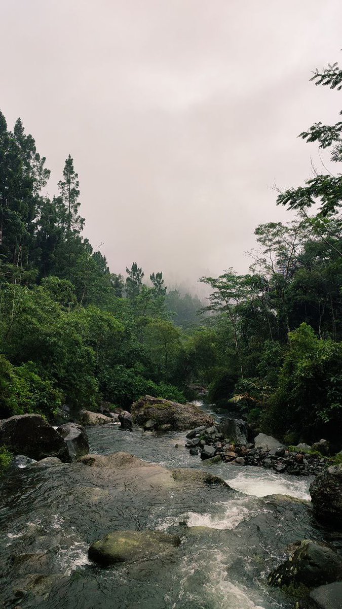 biangkerok's tweet photo. enaknya idup di purwokerto. 20 menit dari rumah ada jalur trekking yg yahud, start dari desa, finish di sumber air panas yellow stone natural hotspring 😂

jalur "bukit belakang sekolah"
bujet Rp 0 https://t.co/7XgLwILcN5