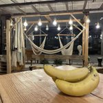 Hammock Bananaのツイート画像