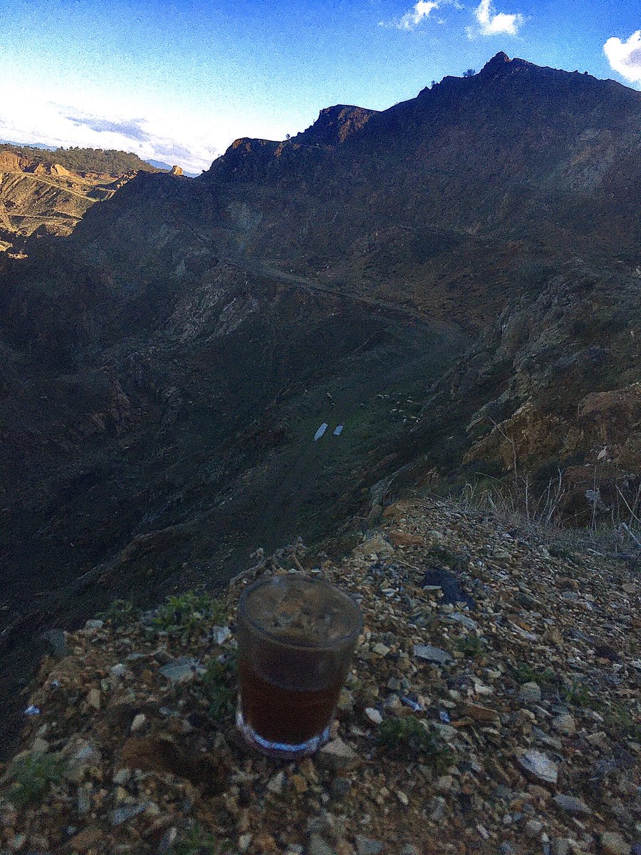 الطبيعة و البهائم و كأس من الشاي و أنا ☘️🐑🌦🥃