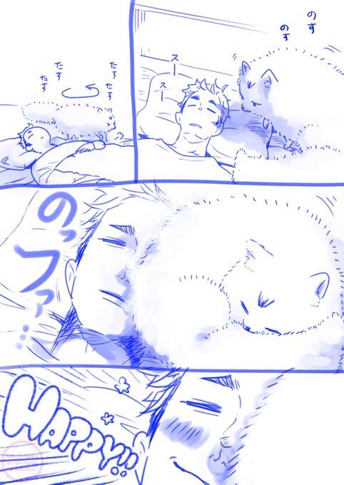 あつきた(🦊) 