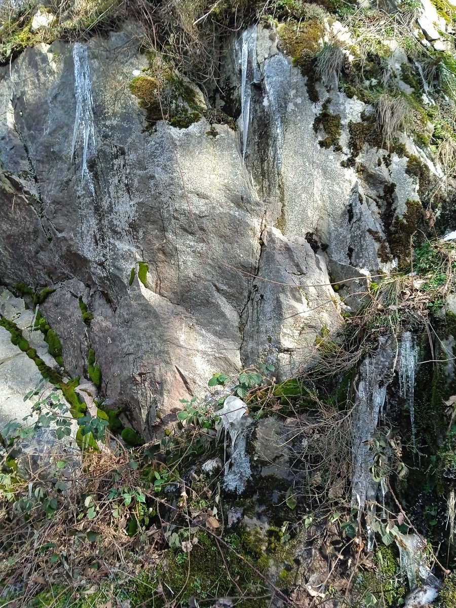 MilieAnime's tweet photo. #ballade #vosges #Vosgesaddict https://t.co/GFxnVncXCK
