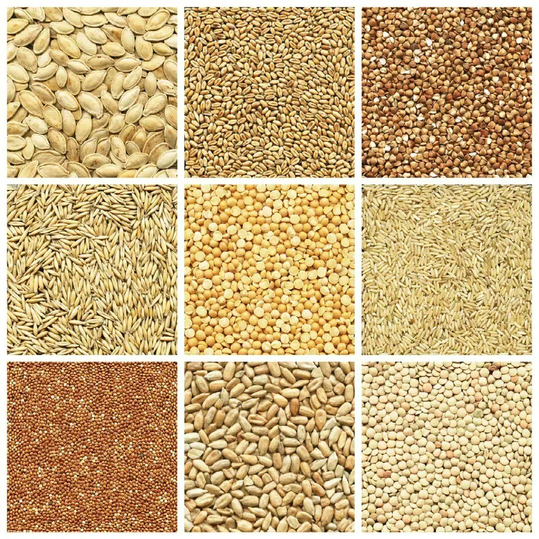 Globally, more than 60% of our calories come from only four crops: wheat, rice, corn &amp; potato. But, we can build resilience by diversifying our diets. 

For a secure future and enough food for everyone, we need crop diversity.
 
More👉 buff.ly/3I65tzO
