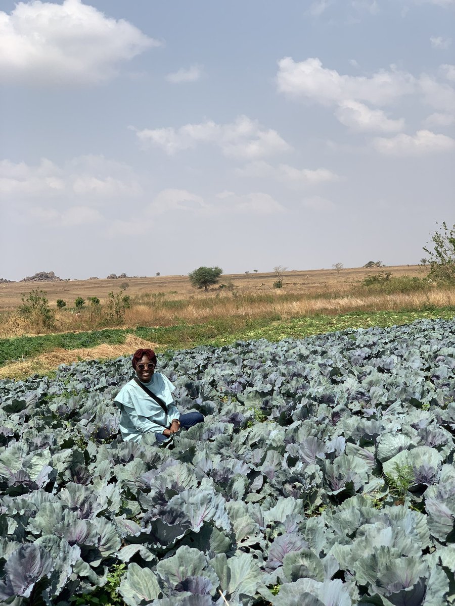 najat_ashaka's tweet photo. A premium farm girl!!!
My name is Najat Shehu Ashaka,
I’m a strawberry farmer and a fruit vendor. https://t.co/OveDzRBo6E