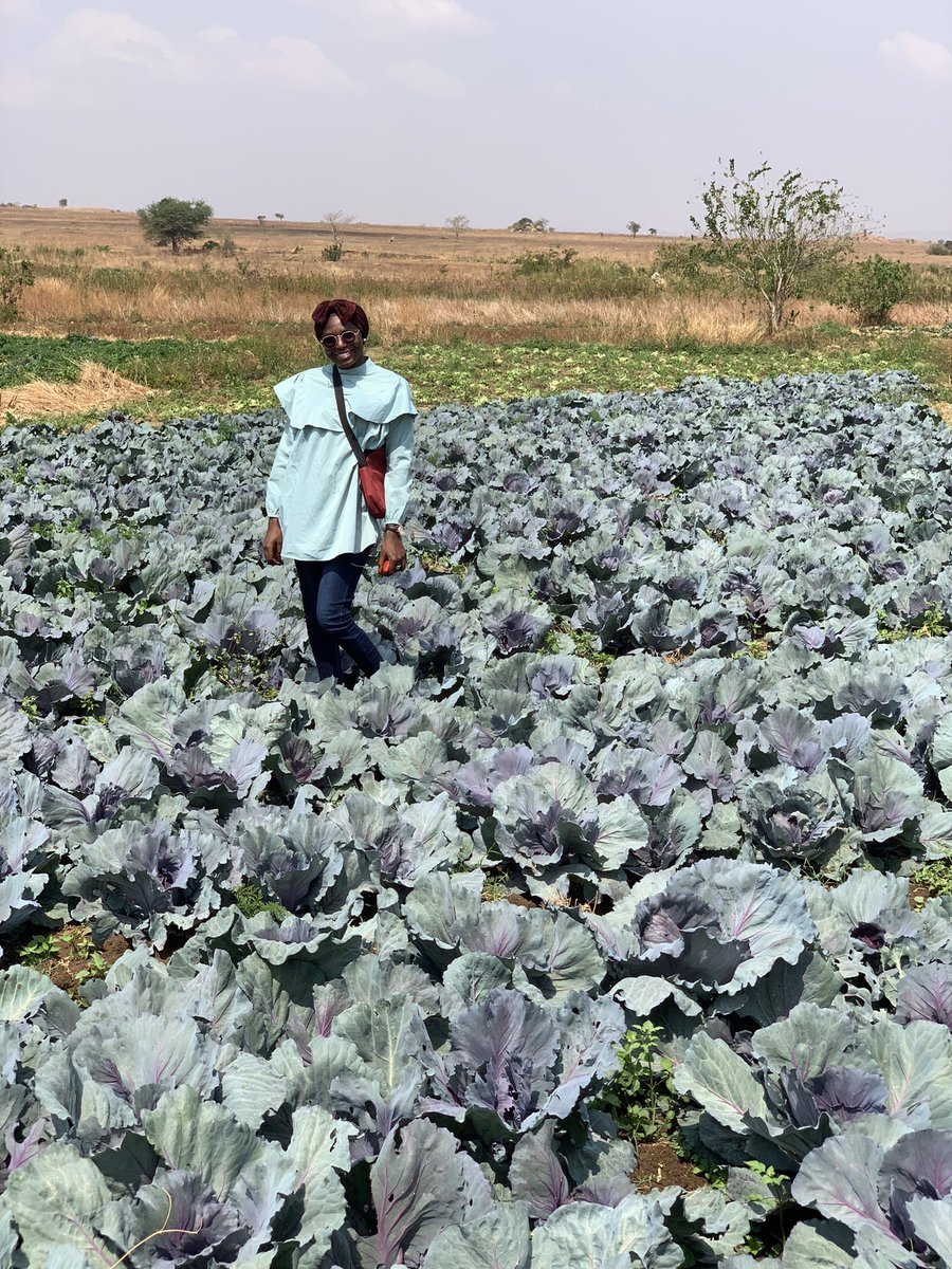 najat_ashaka's tweet photo. A premium farm girl!!!
My name is Najat Shehu Ashaka,
I’m a strawberry farmer and a fruit vendor. https://t.co/OveDzRBo6E