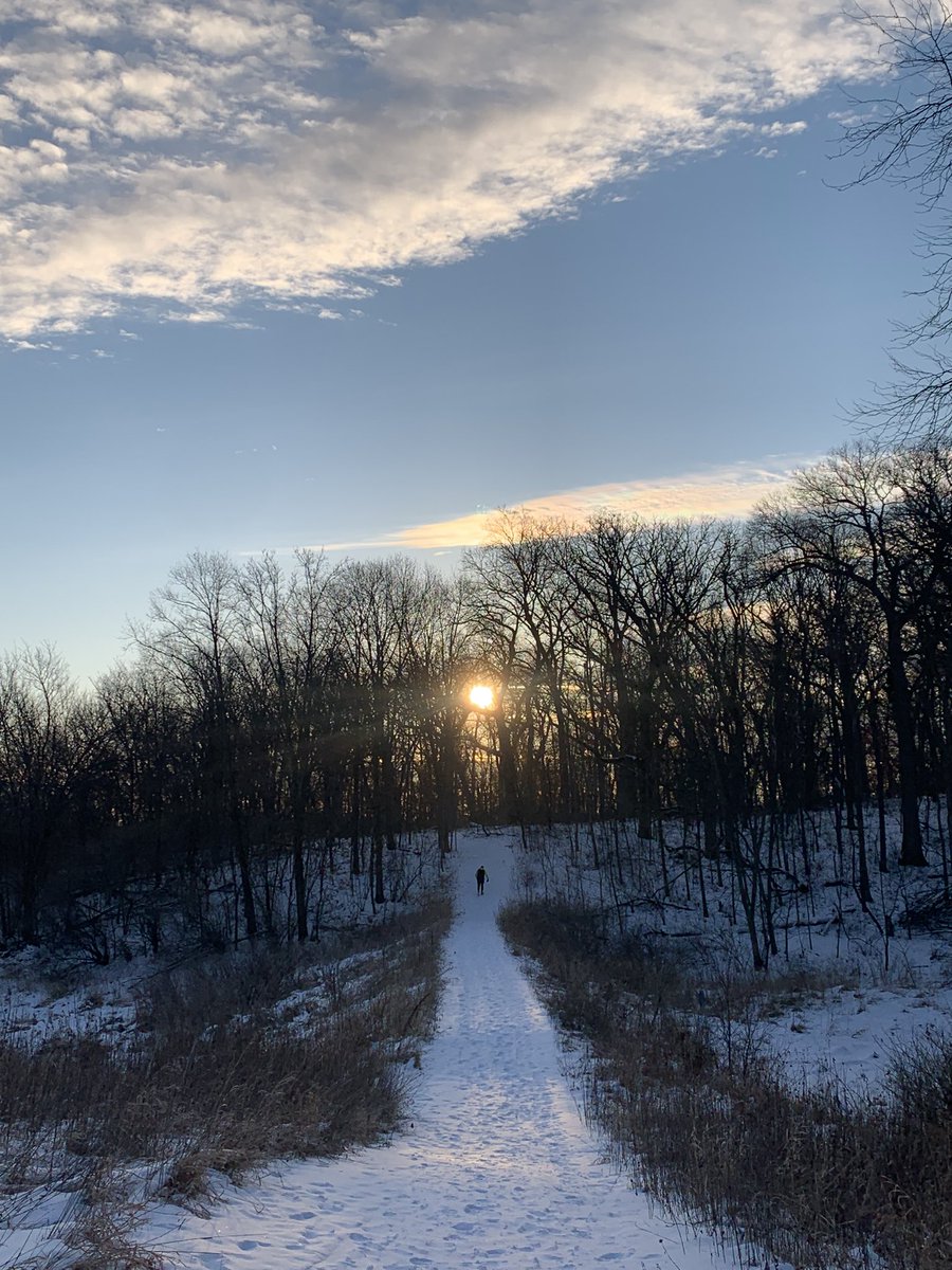 James Stratton tweet media