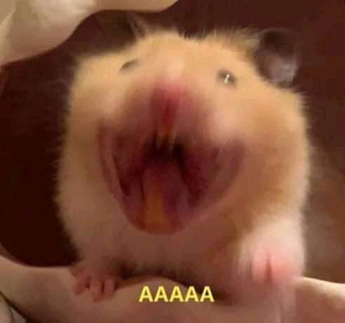 cuoruis's tweet image. “Tutti ridevano alla fine, e mi chiedevo perché proprio alla fine”
“No no anche a metà c’era da ridere”

Maria MA AIUTO #Amici22