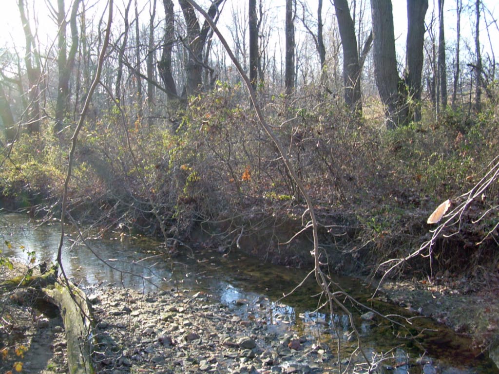 EverydayParks's tweet photo. Canby Park
Elsmere, Delaware
4.2/5 stars (262 ratings)
#Elsmere #Delaware https://t.co/LqQMTdkx3K