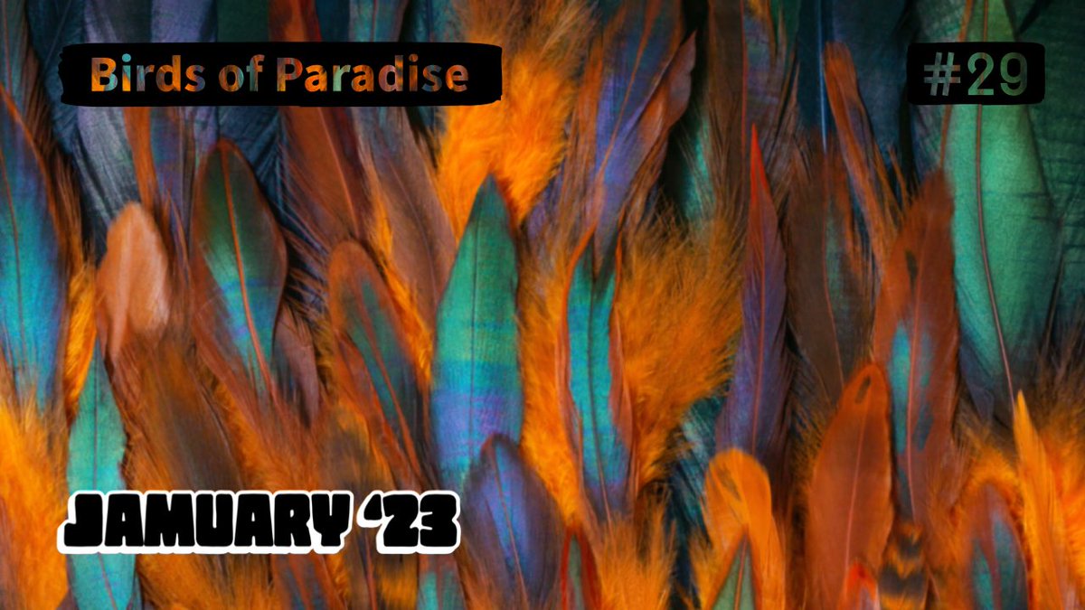 JAMuary 2023 No.29: Birds of Paradise
youtu.be/i7y_ee2JXe0

Chill out track using the #subharmonicon for bass line, the #teenageengineering #op1field for lead and the #hologrammicrocosm for a lush layer of effects. #jamuary #synthmusic #chillout