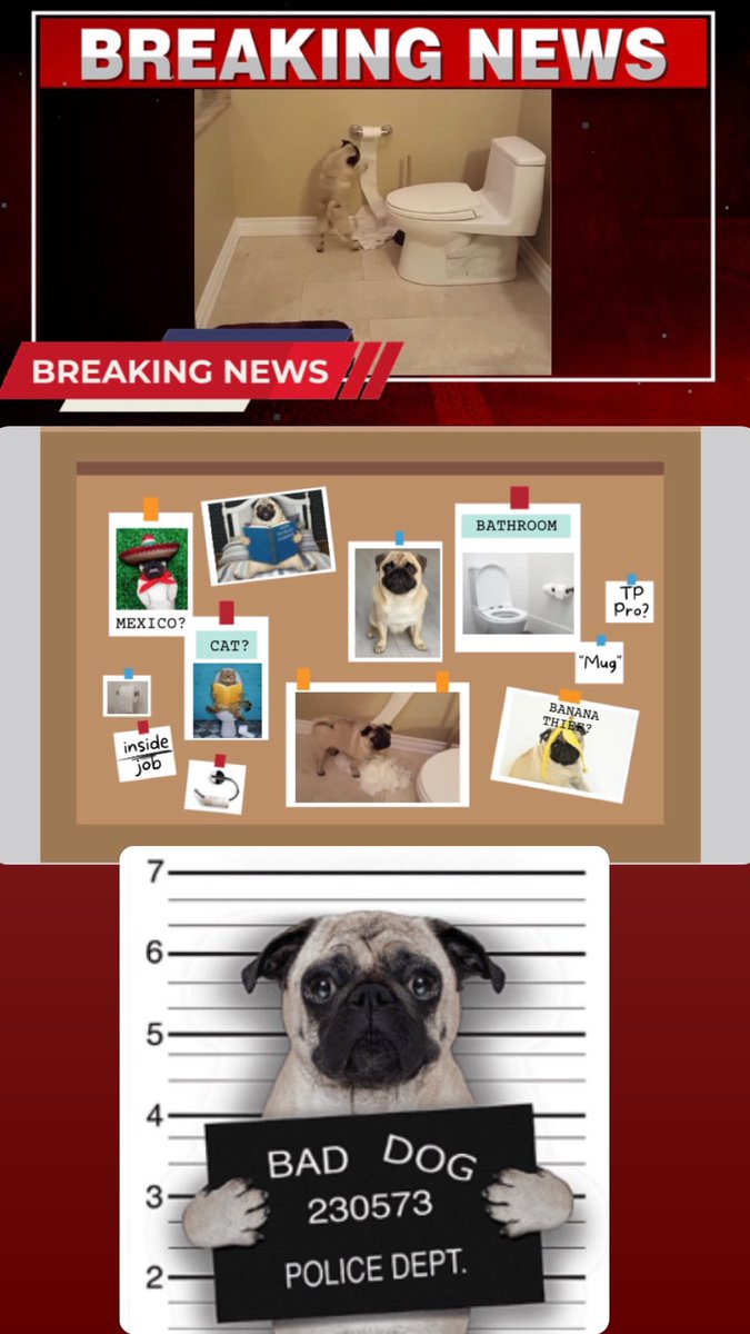 Erin Dunkle, Ed. S tweet media