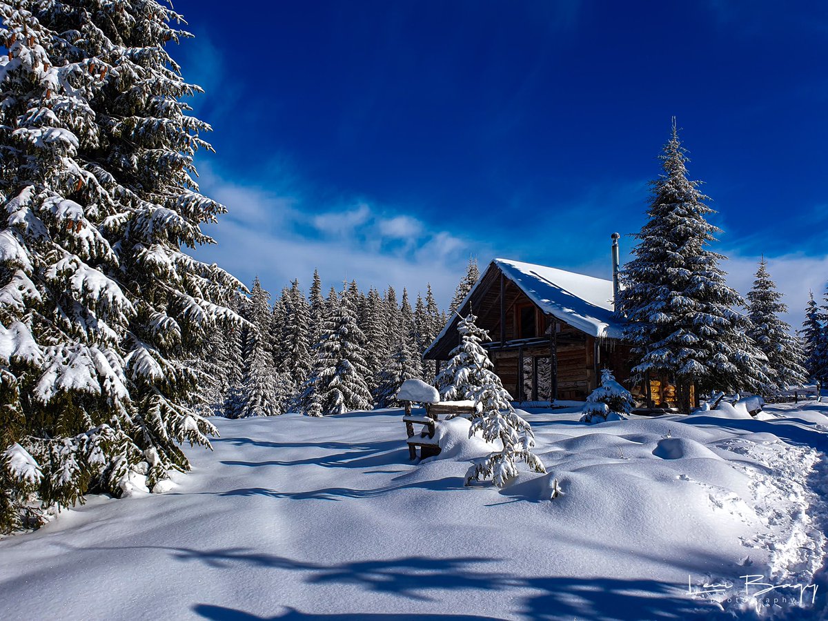 This week's #Romania pics: #CarpathianMountains winterscapes.