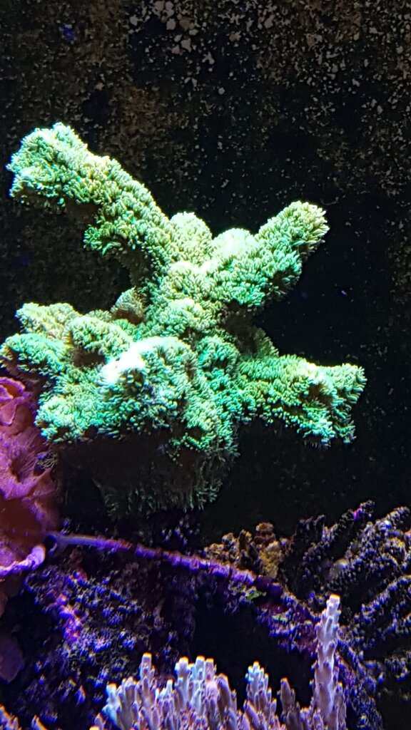 ID needed on SPS dlvr.it/Shcpdx