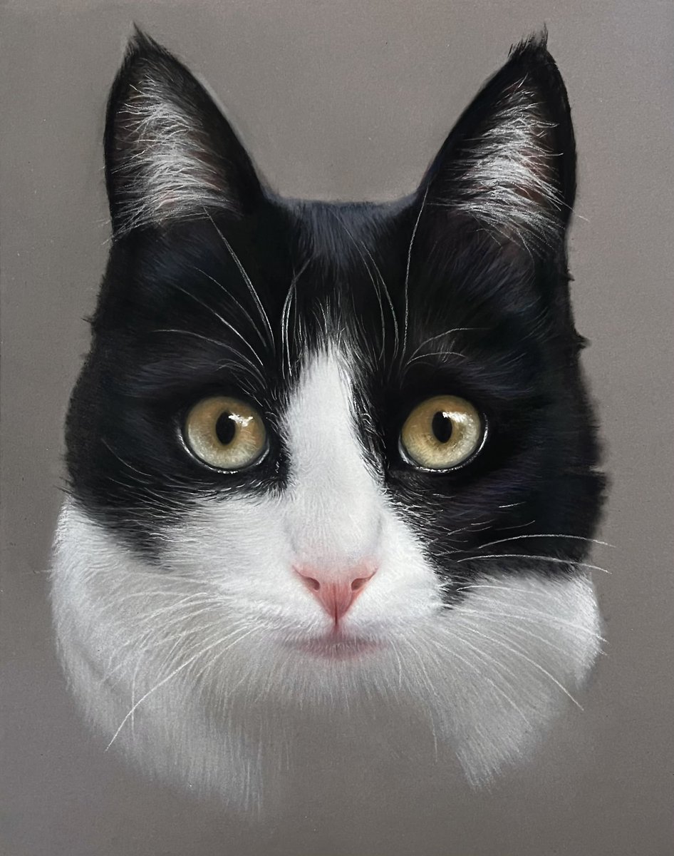 Paulmillerart's tweet photo. I forgot how hard cats are to draw. The lovely Nina. Pastel pencils and soft pastel on pastelmat. Hope everyones had a great weekend🙂.
#art #catart #catdrawing #catdrawings #pastelart #pasteldrawings #artistry #artist #artgram #drawing #drawings #artistic #arty #artyfeatures https://t.co/sWUXUhTBJ2