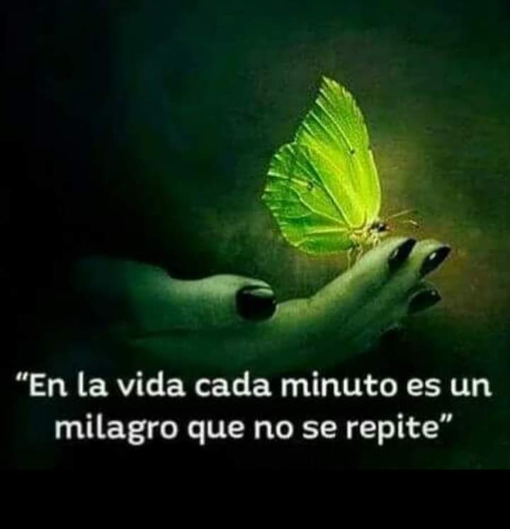 Buen día