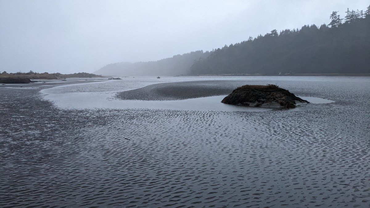 Copalis_Beach's tweet photo. #CopalisBeach #CopalisRiver #nature #WashingtonCoast https://t.co/0bIyAaZU7m