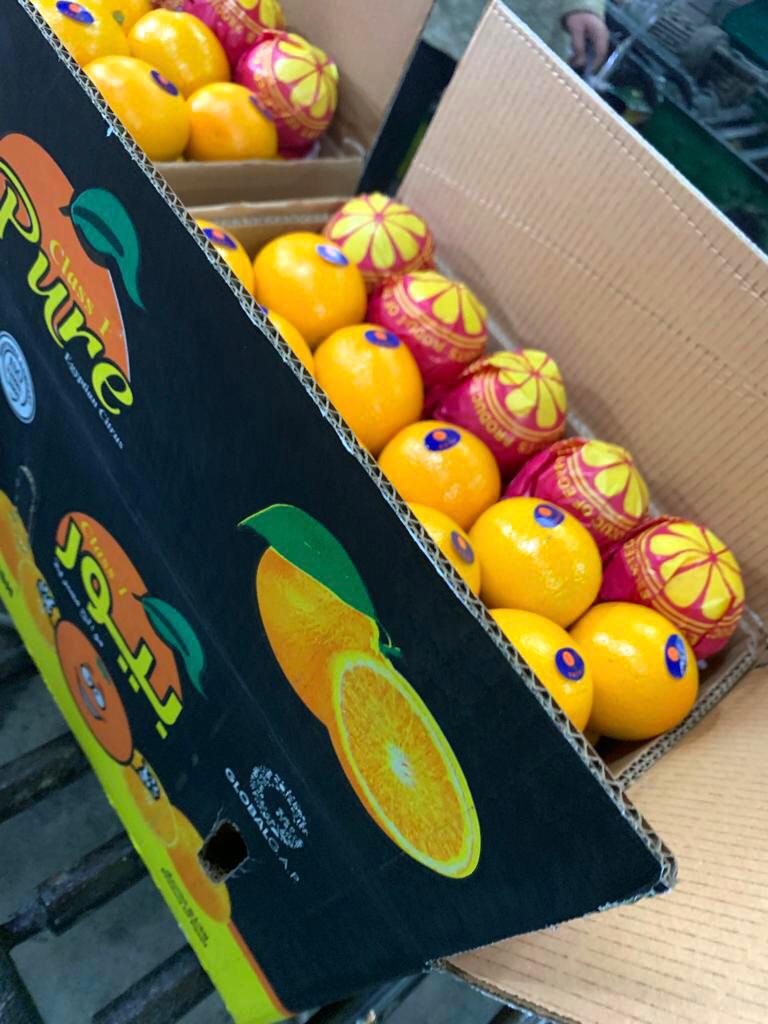 Alashrafgroup20's tweet photo. #IMPORT your #Valencia #orange now to any country around the world with any specification you want from Al-Ashraf for packing and exporting citrus 🍊🍊
Contact on: +201050529566
https://t.co/lfhTe23pJy https://t.co/cMwJTTlbJ1