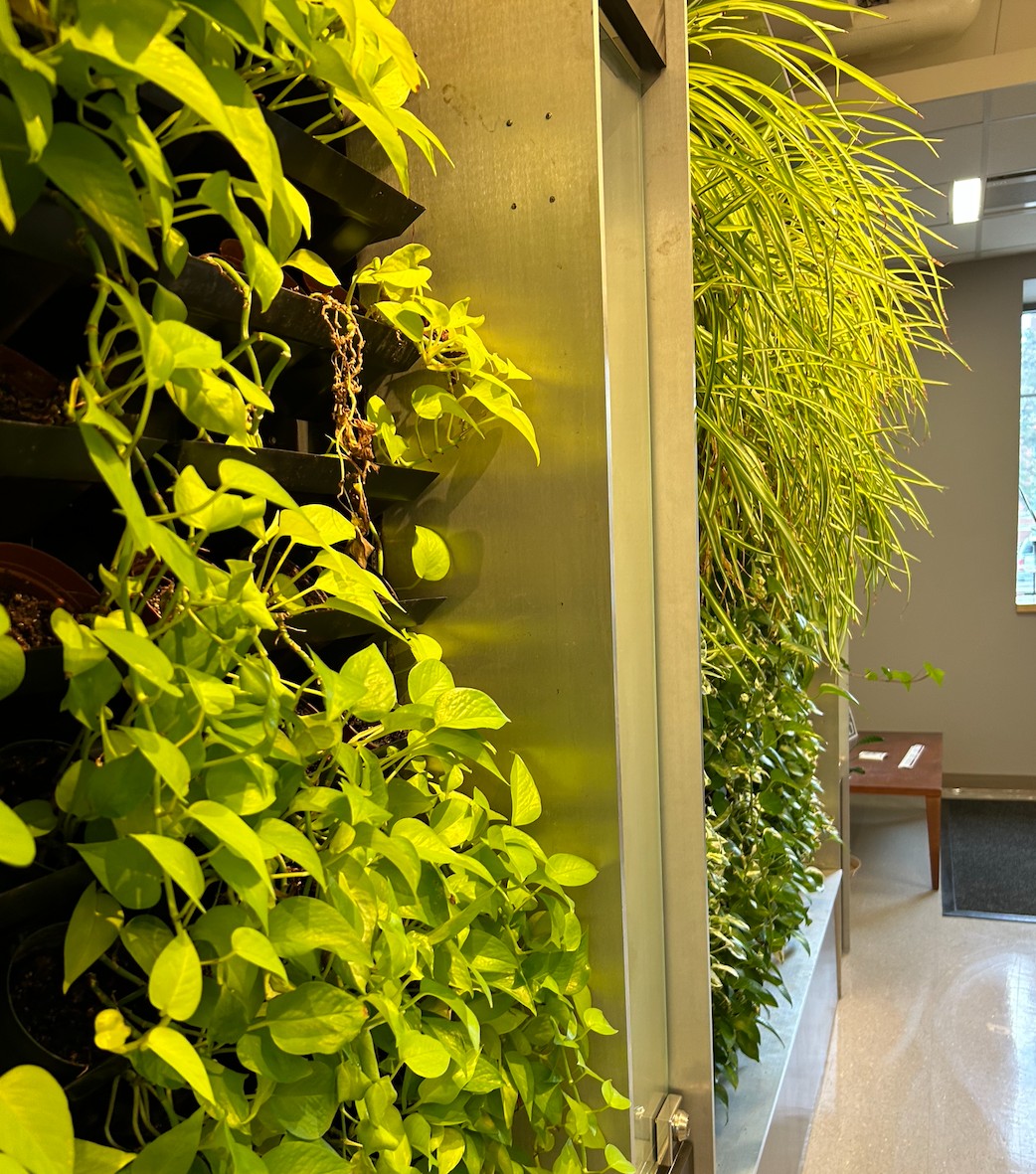 UMass Amherst (@umassamherst) on Twitter photo What is the perfect addition to a green building? A #greenwall, of course! š±Renovations to #UMassAmherst Paige Laboratory have transformed it into an energy-efficient, #ADA-compliant research and administrative facility. <a href="/Stockbridge_Sch/">Stockbridge School of Agriculture</a> #SustainableUMass @umass_sustain What is the perfect addition to a green building? A #greenwall, of course! š±Renovations to #UMassAmherst Paige Laboratory have transformed it into an energy-efficient, #ADA-compliant research and administrative facility. <a href="/Stockbridge_Sch/">Stockbridge School of Agriculture</a> #SustainableUMass @umass_sustain