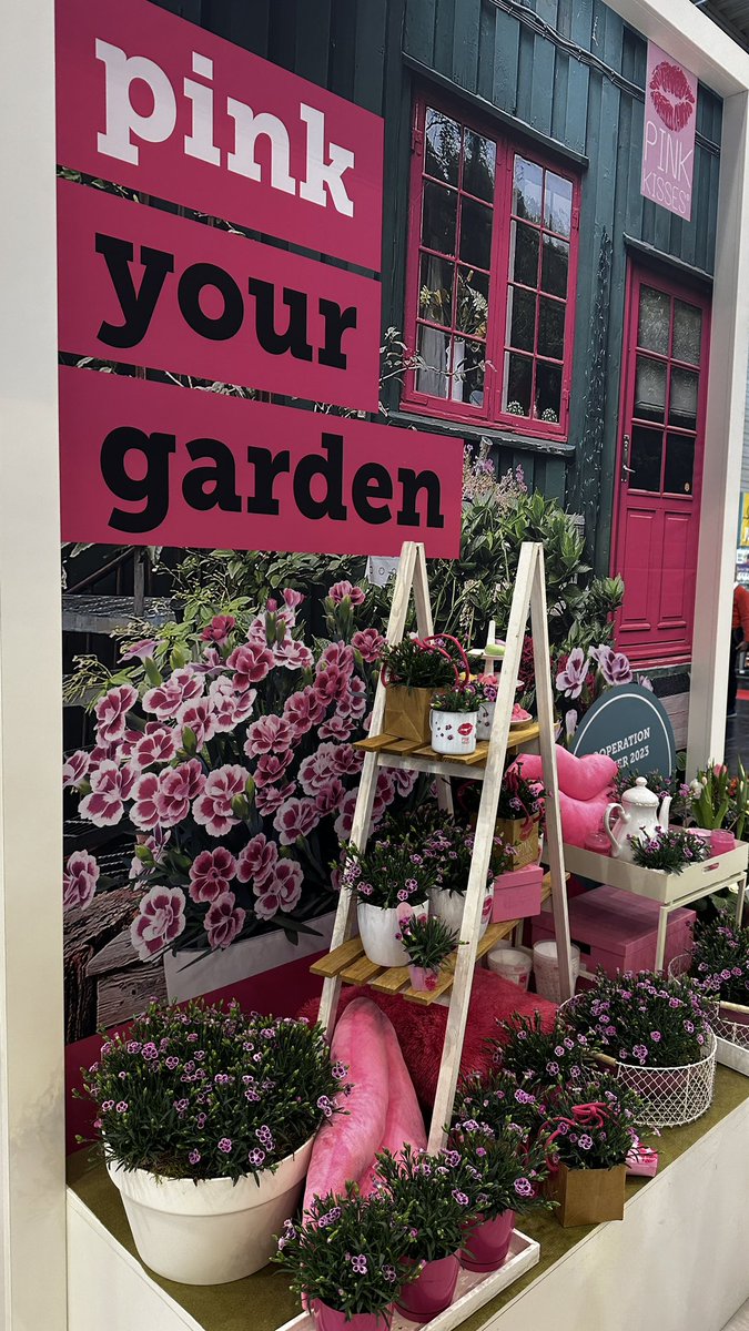 Tanya Carvalho (@tanyacbloomdiva) on Twitter photo Pink Your Garden! With so many incredible carnation/dianthus varieties from <a href="/SelectaOneNA/">Selecta One</a> to choose from it’s hard to pick just one! Check out the new Capitan Magnífica with its supersized blooms and gorgeous fragrance 🌸 #pinkyourgarden #bloomdiva #carnations #dianthus #blooms Pink Your Garden! With so many incredible carnation/dianthus varieties from <a href="/SelectaOneNA/">Selecta One</a> to choose from it’s hard to pick just one! Check out the new Capitan Magnífica with its supersized blooms and gorgeous fragrance 🌸 #pinkyourgarden #bloomdiva #carnations #dianthus #blooms