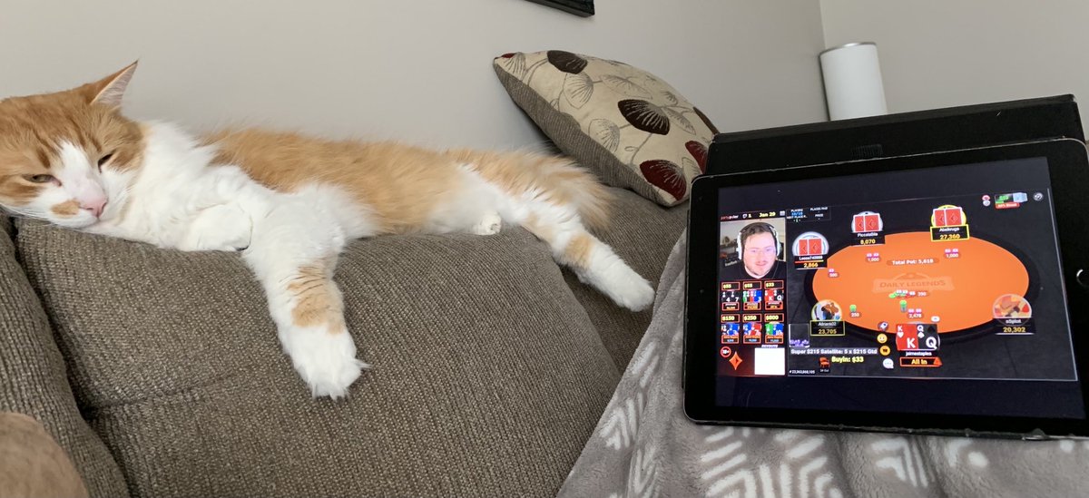 Nexuss68's tweet photo. ⁦@jaimestaples⁩ someone’s waiting patiently for a 🍋 🦁 today !  LFG https://t.co/ggAiBC3uwe
